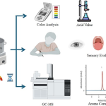 紅蔥油黃金製程標準確立，風味品質雙提升