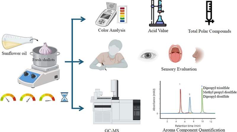 紅蔥油黃金製程標準確立，風味品質雙提升