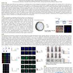 Multifunctional Nanocarrier-Delivered microRNA-205-5p for Inhibiting Tumor Formation and Progression Induced by Airborne Particulate Matter.